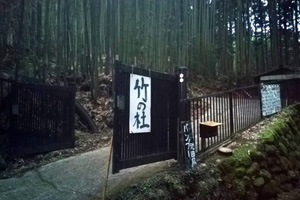 竹の杜～lucky bamboo forest～