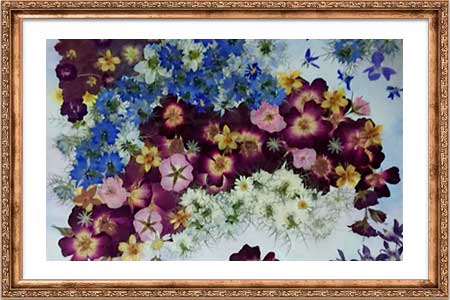 ふしぎな花倶楽部 押し花教室