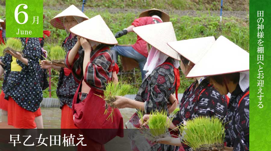 【観光】早乙女田植え