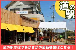 道の駅ちはやあかさか