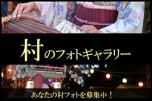 村のフォトギャラリー