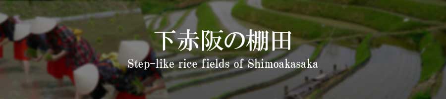 下赤阪の棚田